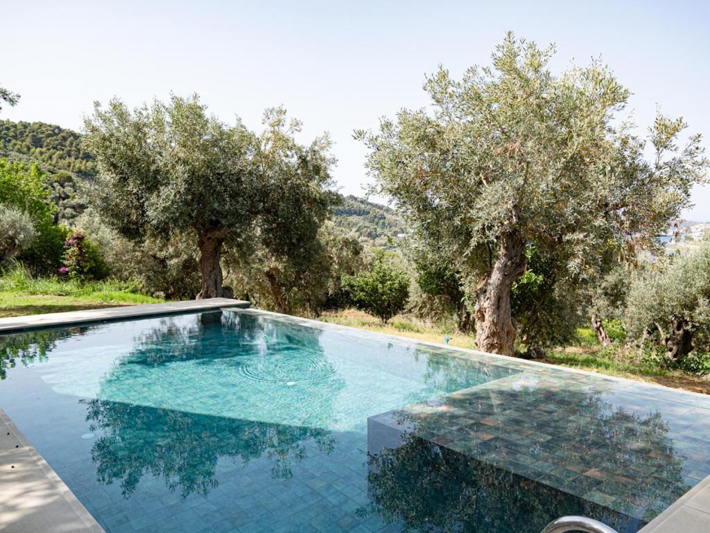 Ksanemos Dohos Skiathos Suites מראה חיצוני תמונה