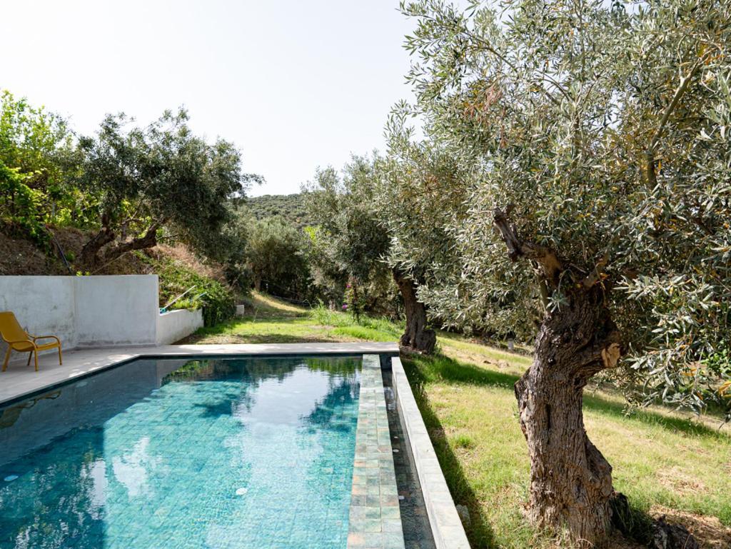 Ksanemos Dohos Skiathos Suites מראה חיצוני תמונה